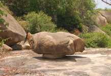 Old Oyo National Park