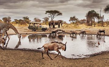 Top National Parks in the world