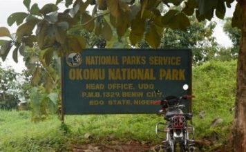 Okomu National Park