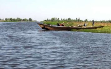 Chad Basin National Park