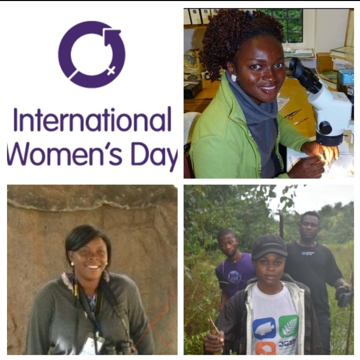 Celebrating conservation champions on IWD 2020