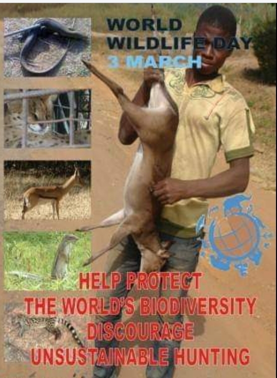 bush meat industry in Nigeria