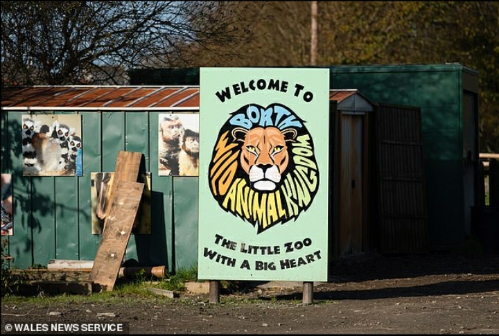Covid19: UK zoo threatens to kill animals over lack of funds