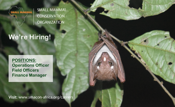 Small mammal conservation organization (SMACON) calls for applicants