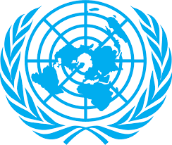 UN warns against rising illegal wildlife trade in Nigeria