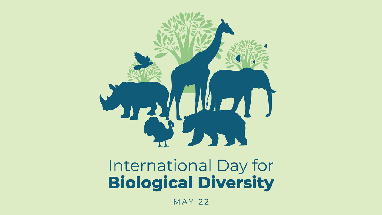 Celebrating the International Day for Biological Diversity 2024: Be part of the plan