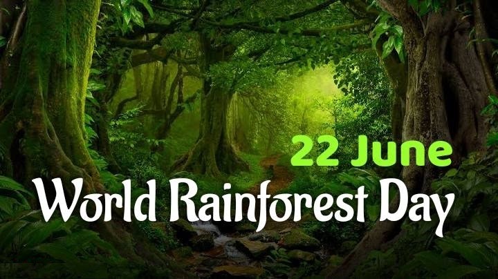 World Rainforest Day