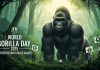 World Gorilla Day 2025 World Gorilla Day 2025